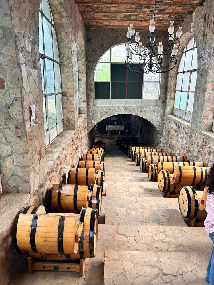Oak barrels in a tequila distillery cellar